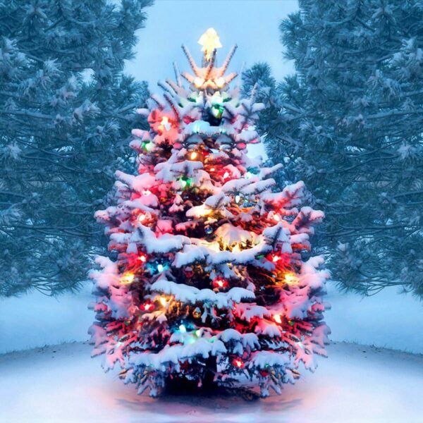 Snow Flocked Outdoor Christmas Tree with Multicolor Lights – 6ft Winter Glow